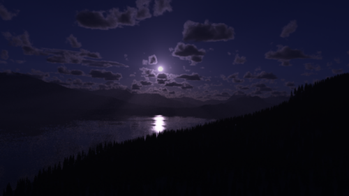 Evergreen Mountain Night