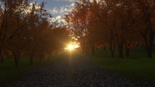 Sunset Path